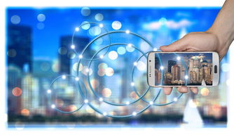 爱游戏娱乐-高校运动训练科学化管理策略研究，高校运动训练科学化管理策略研究论文